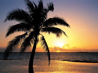 Tropical Island Sunset Silhouette