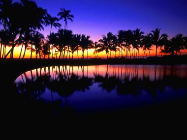 Hawaii Tropical Palm Tree Sunset Reflection Scenery