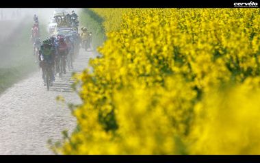 Cervelo Cycling Race Cobblestone Road Yellow Flowers Spring