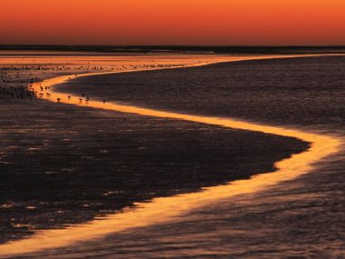 荷兰瓦登海夕阳下的海岸线