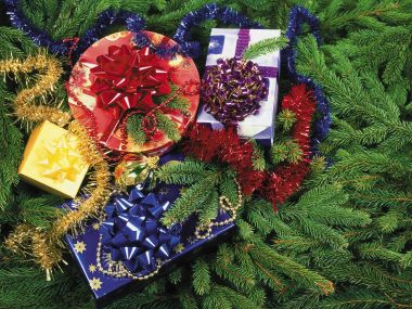 Colorful Christmas Gifts On Pine Branches