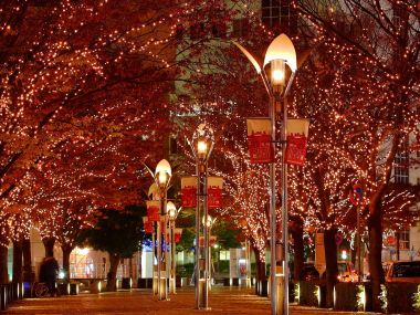 日本城市街道秋季红叶与璀璨灯光夜景