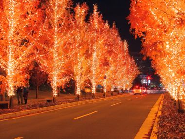 日本城市街道璀璨圣诞灯光夜景