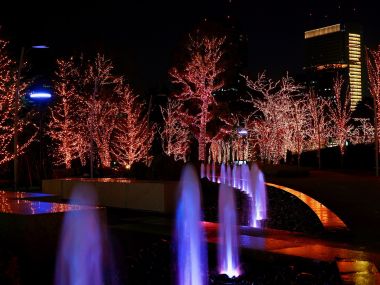 城市公园圣诞夜景与彩色喷泉