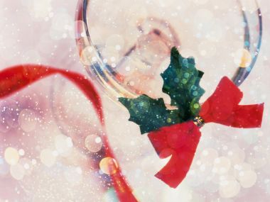 Dreamy Wine Glass Christmas Holly Silk Ribbon