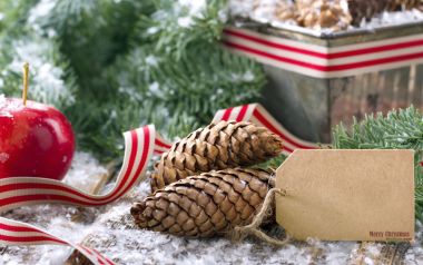 Cozy Christmas Still Life Pinecones Apple Ribbon