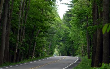 美国乔治华盛顿国家森林夏日林间林荫公路风光