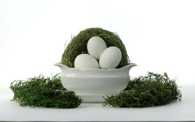 白色复活节彩蛋与绿色苔藓静物摄影
