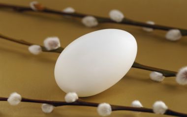 White Easter Egg With Willow Branches