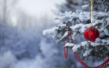 Snowy Pine Branch With Red Christmas Ornament