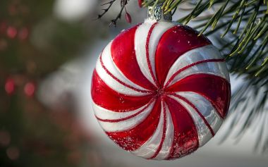 Red Candy Striped Christmas Ornament On Pine Branch