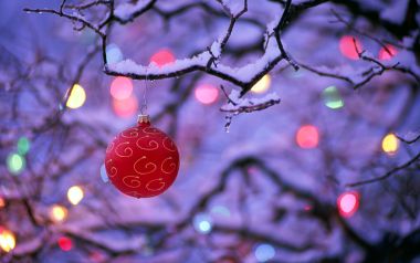 冬日雪枝上的红色圣诞球饰与梦幻彩灯