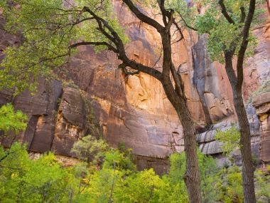Zion National Park Utah Canyon Cliffs
