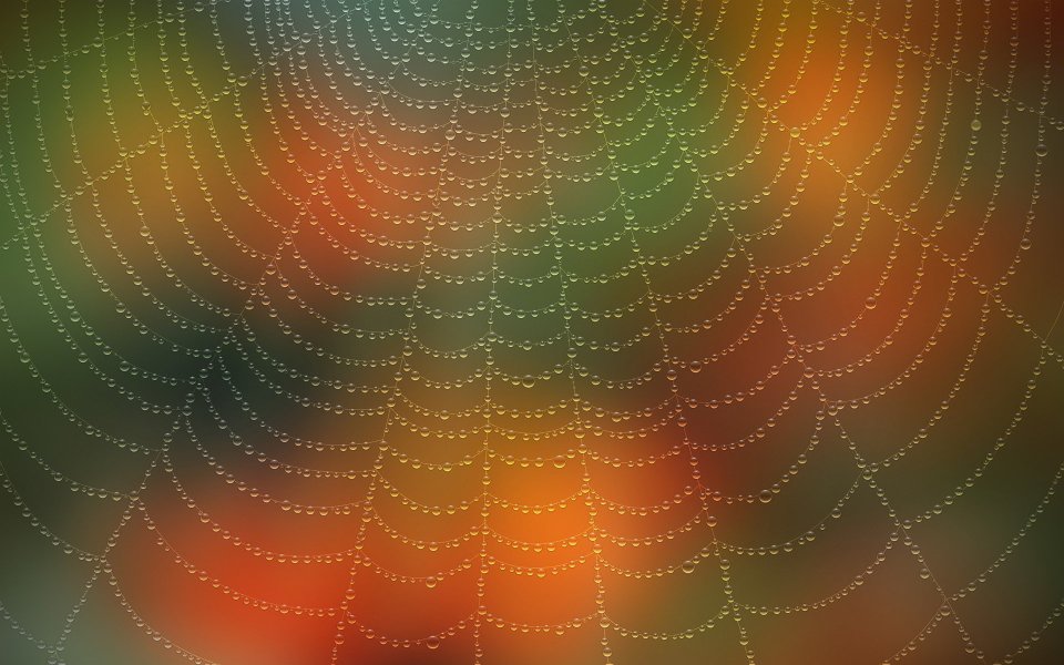 002_vladstudio_spiderweb_waterdrops