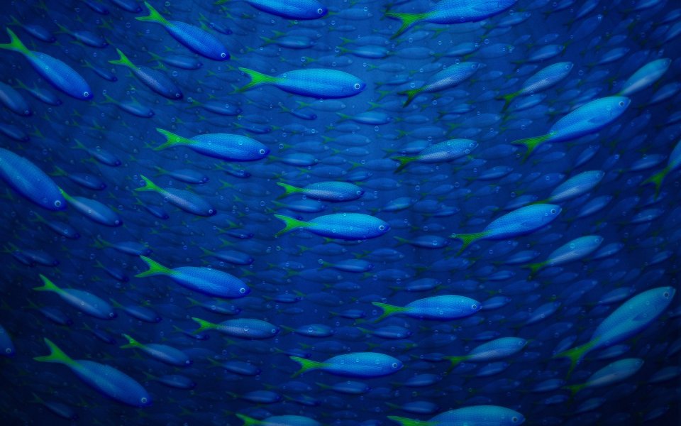002_vladstudio_underwater4
