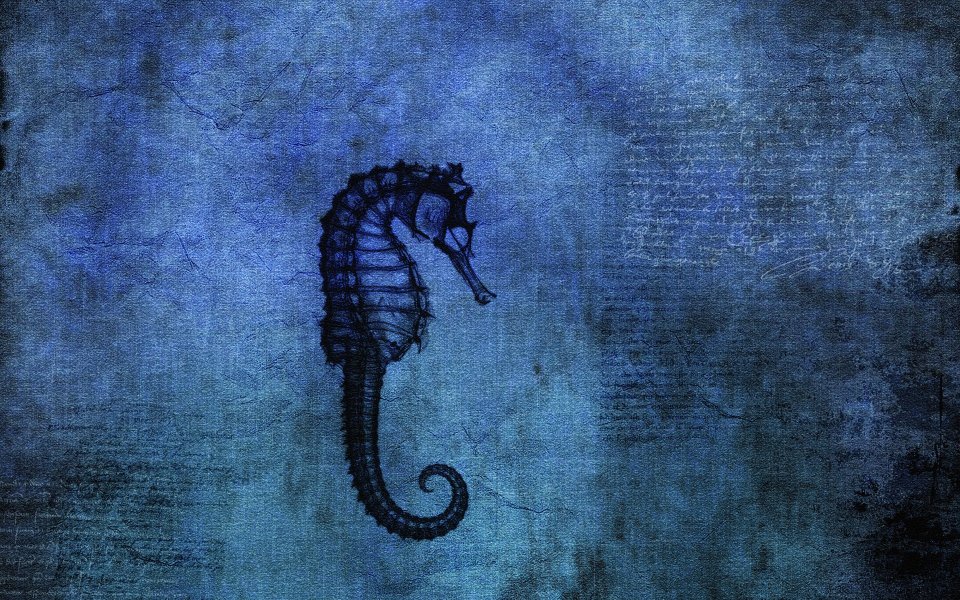 003_vladstudio_blueseadragon
