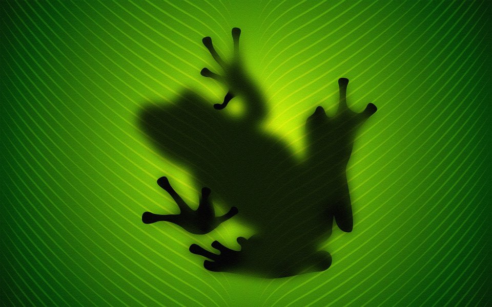 003_vladstudio_frog