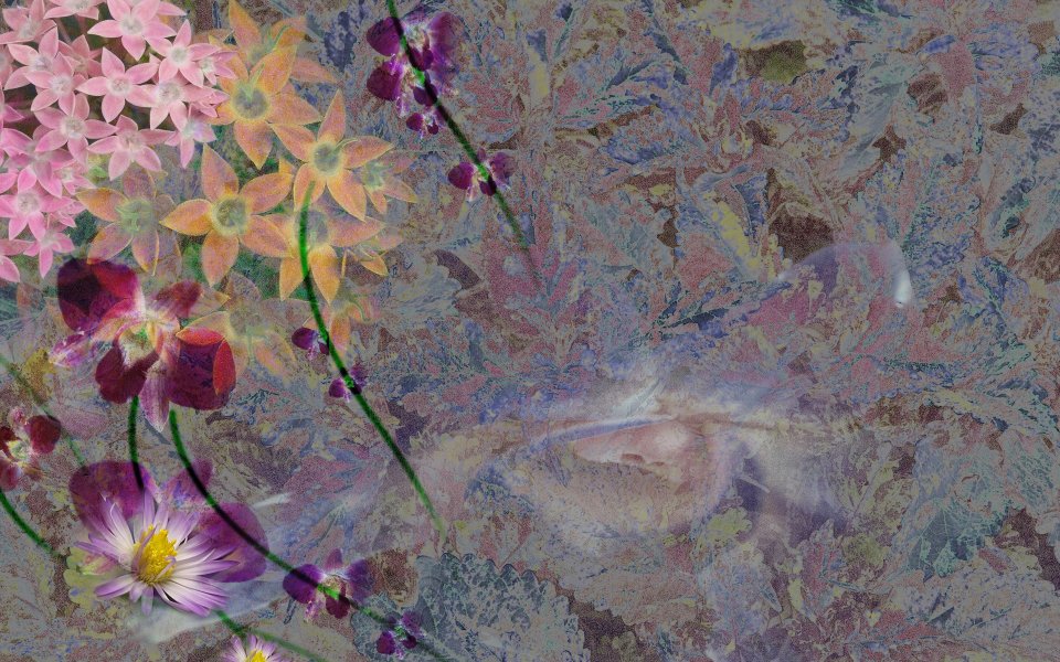 01_2952_Digital-illustration-flowers_wallcoo.com