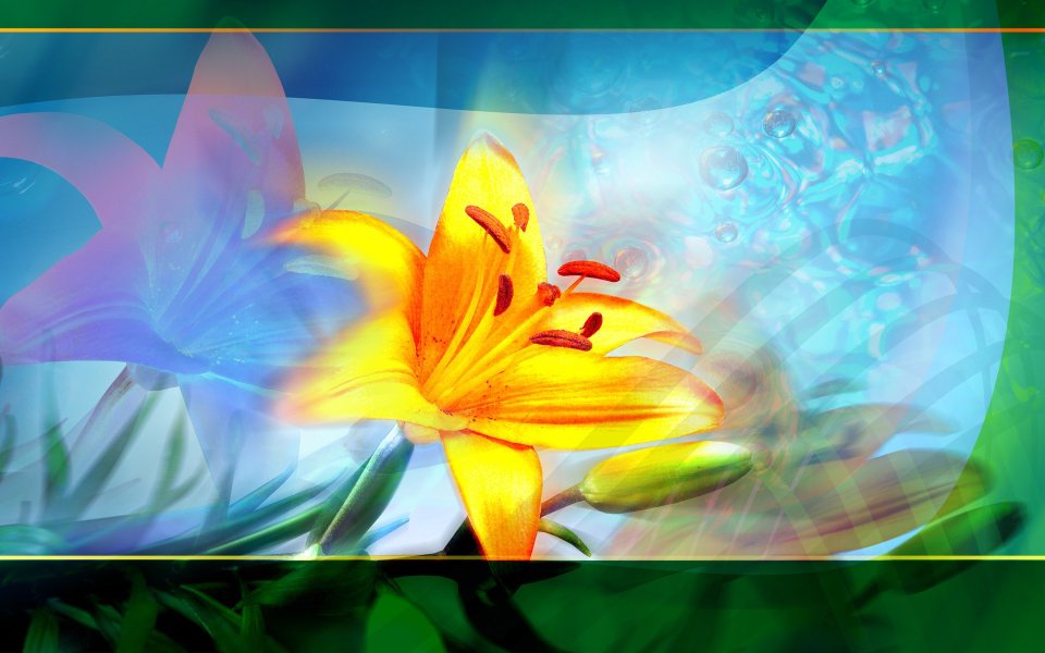 01_2957_Digital-illustration-flowers_wallcoo.com