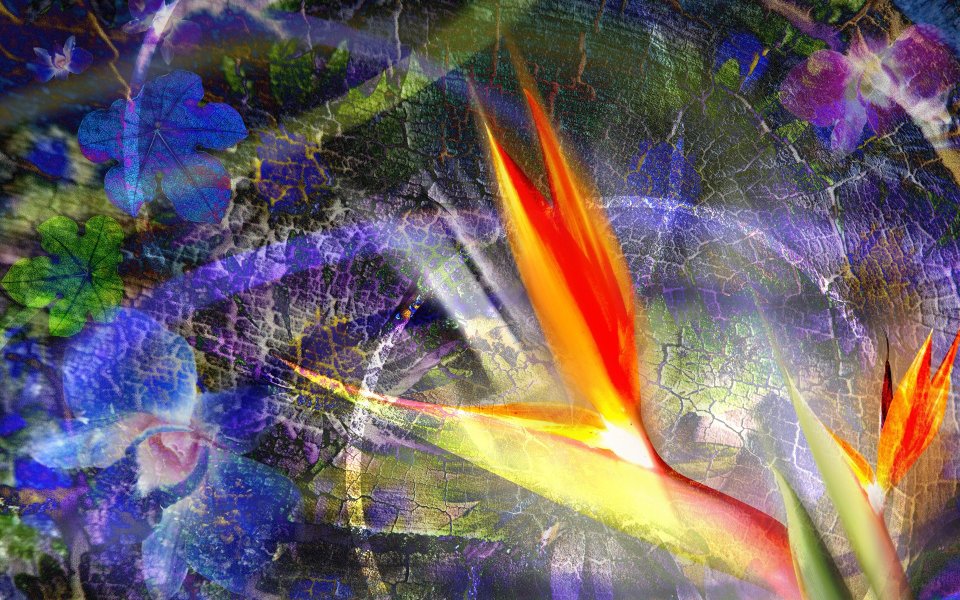01_2958_Digital-illustration-flowers_wallcoo.com