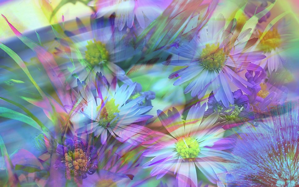 01_2960_Digital-illustration-flowers_wallcoo.com