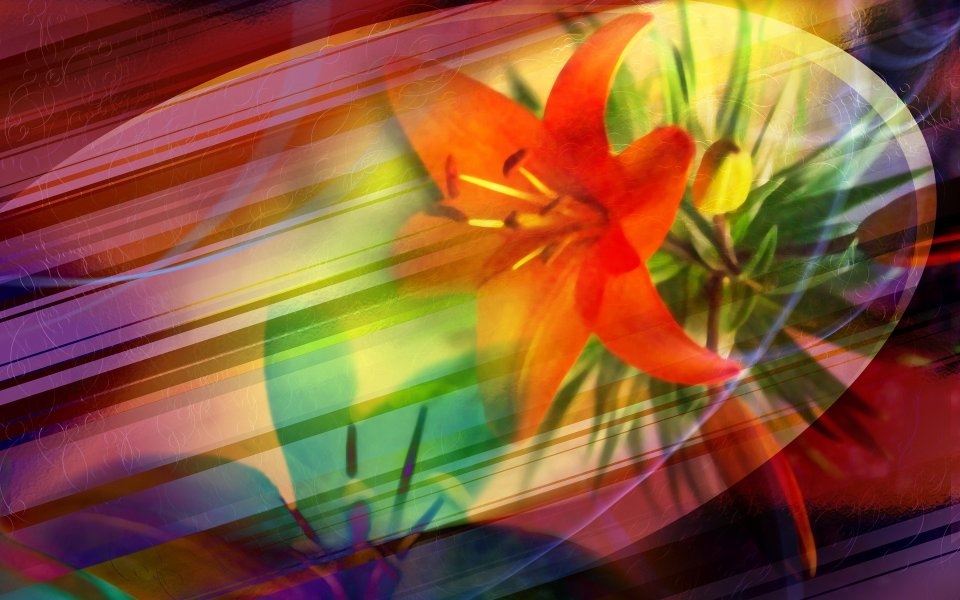 01_2962_Digital-illustration-flowers_wallcoo.com