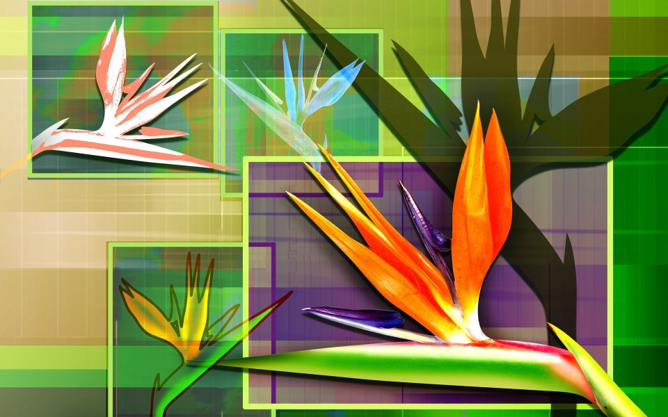 01_2972_Digital-illustration-flowers_wallcoo.com