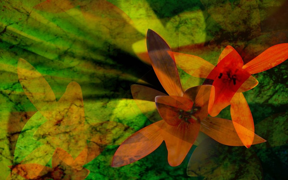 01_2980_Digital-illustration-flowers_wallcoo.com