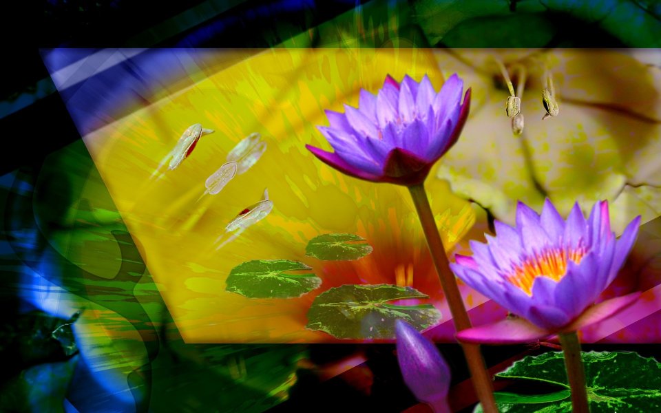 01_2987_Digital-illustration-flowers_wallcoo.com