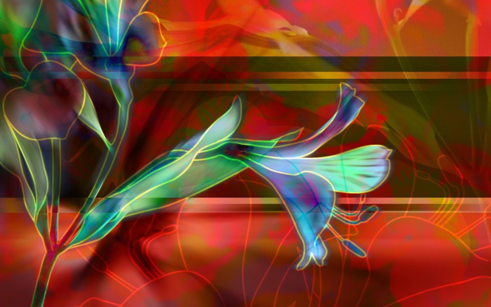 02_2951_Digital-illustration-flowers_wallcoo.com