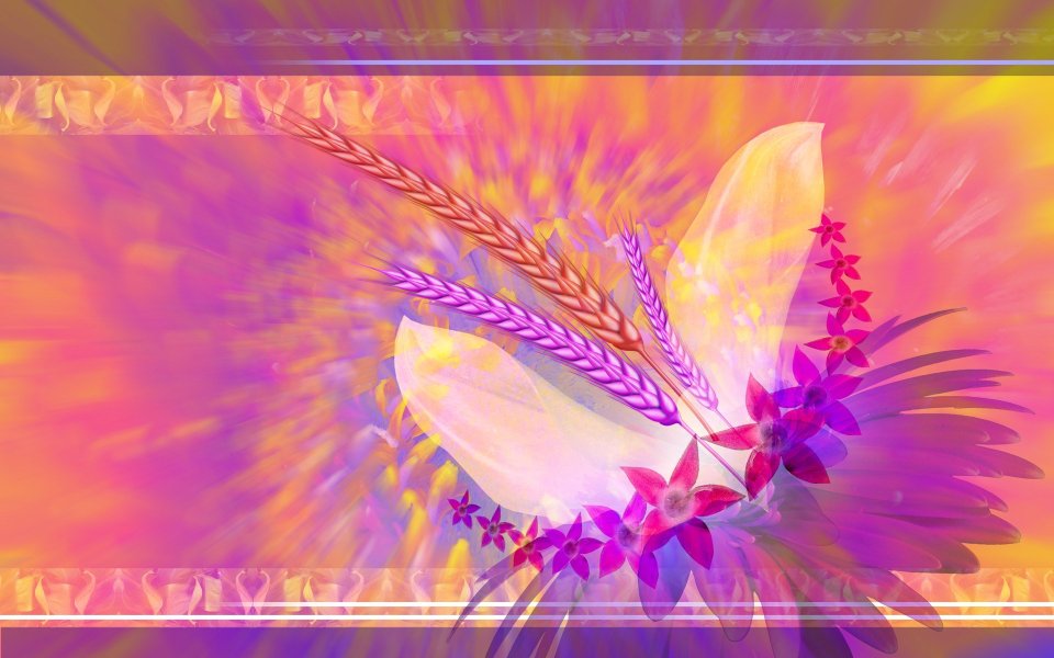 02_2953_Digital-illustration-flowers_wallcoo.com