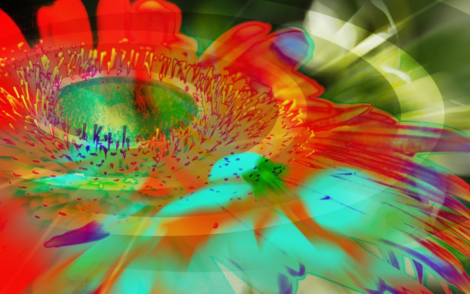 02_2970_Digital-illustration-flowers_wallcoo.com