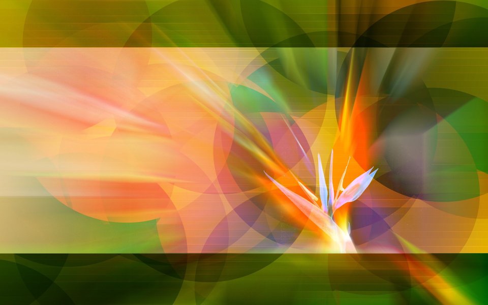 02_2978_Digital-illustration-flowers_wallcoo.com