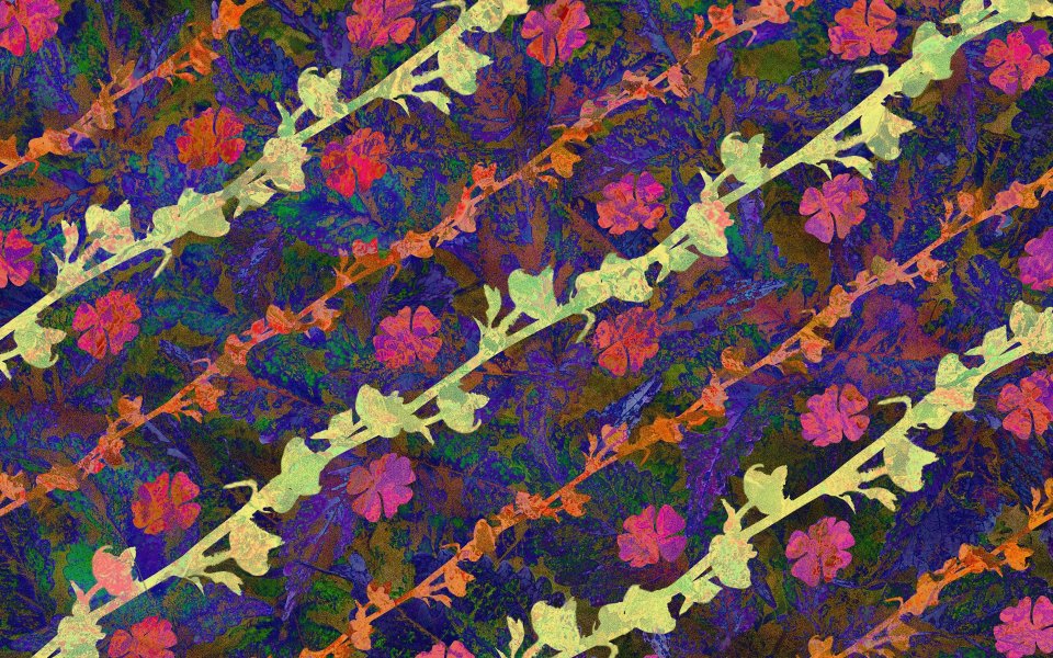 02_2979_Digital-illustration-flowers_wallcoo.com