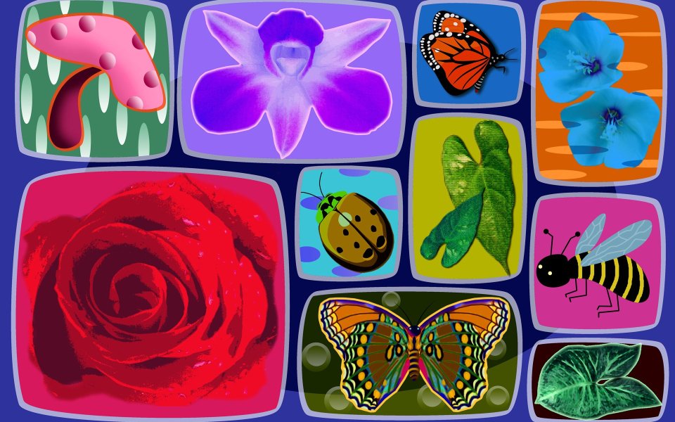 02_2990_Digital-illustration-flowers_wallcoo.com