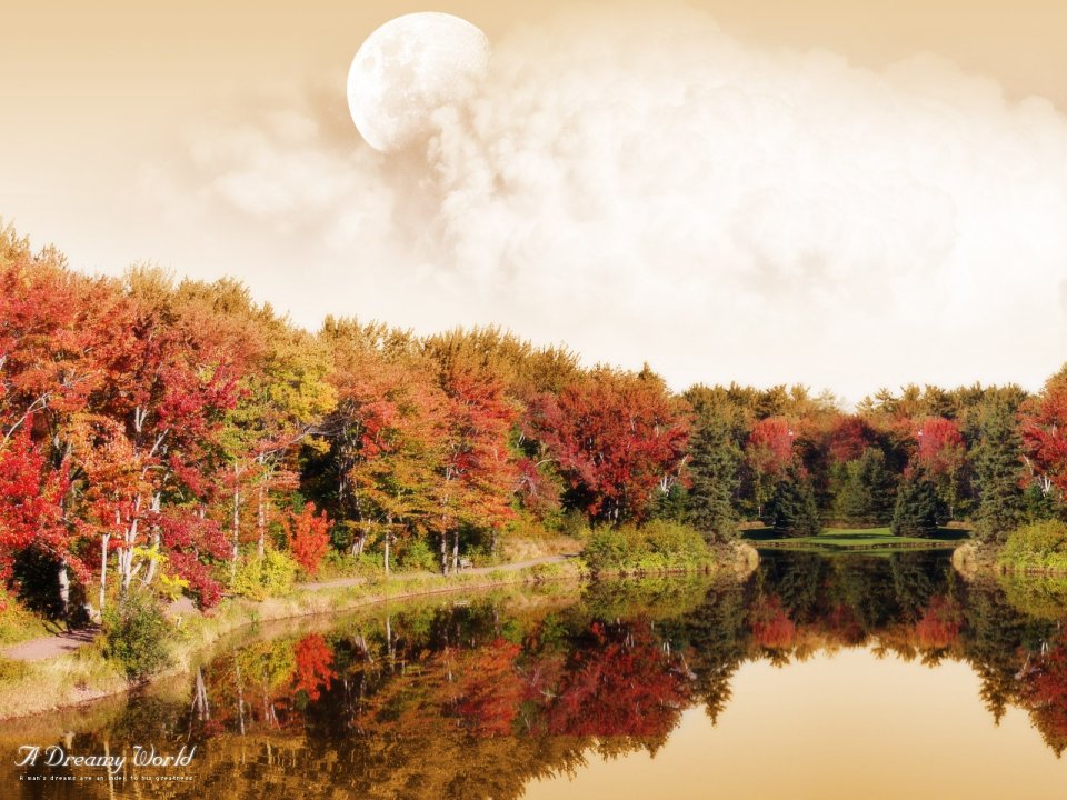 A_Dreamy_World_50th
