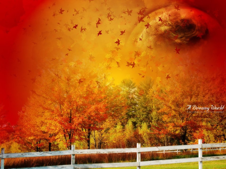A_Dreamy_World_73rd