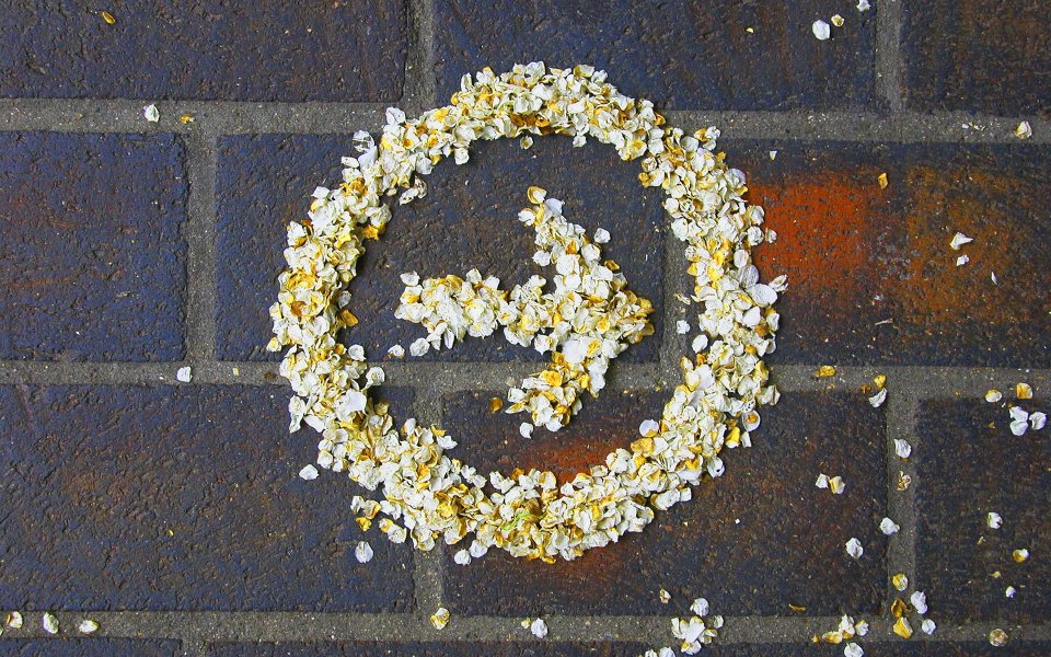 arrow_arrow-made-of-flowers