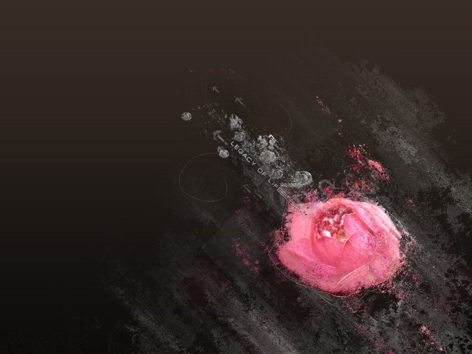 cg_art_design_design2007