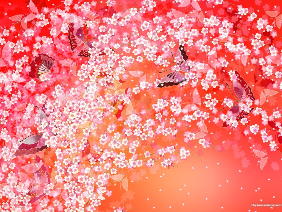 Japanese Style Cherry Blossom And Butterfly Illustration