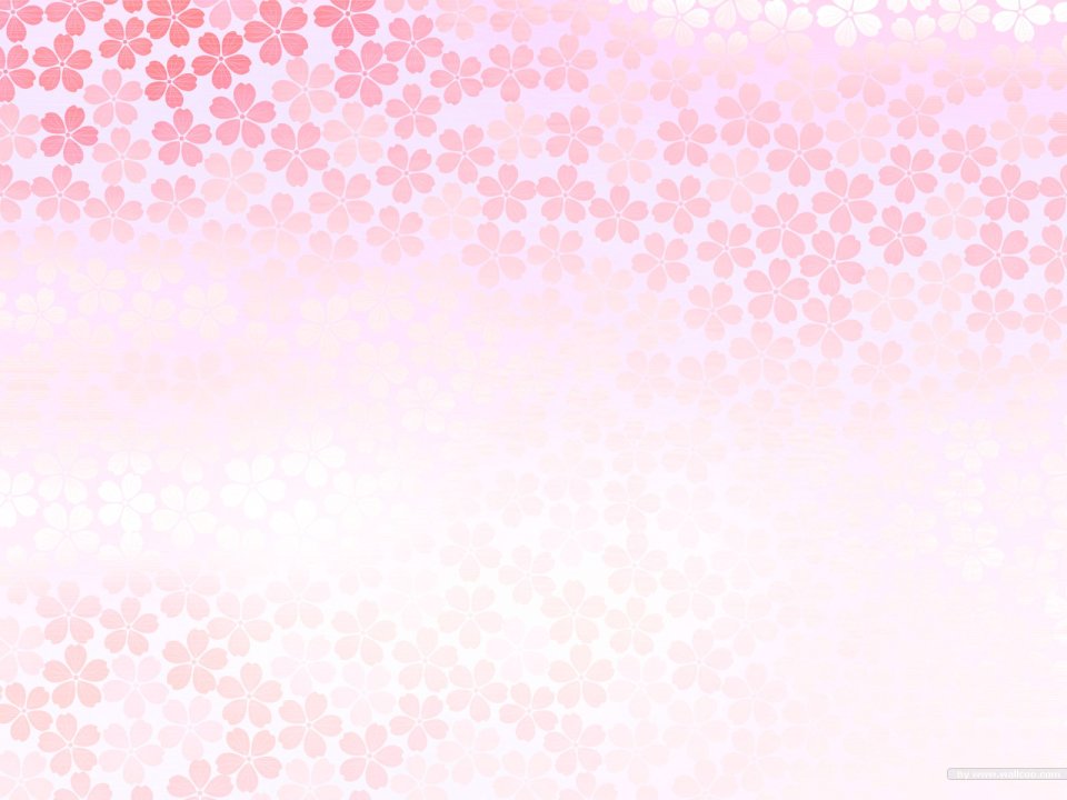 Japanese Style Cherry Blossom Pattern Pink Gradient Background