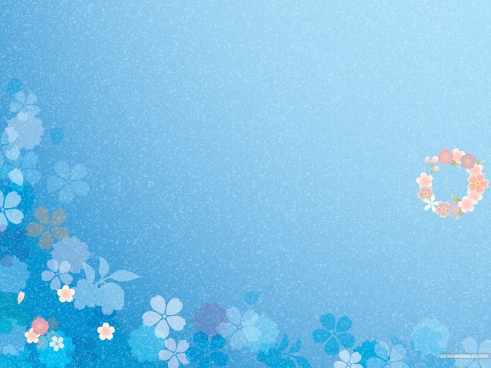 清新蓝色日式和纸纹理背景与樱花花卉边框