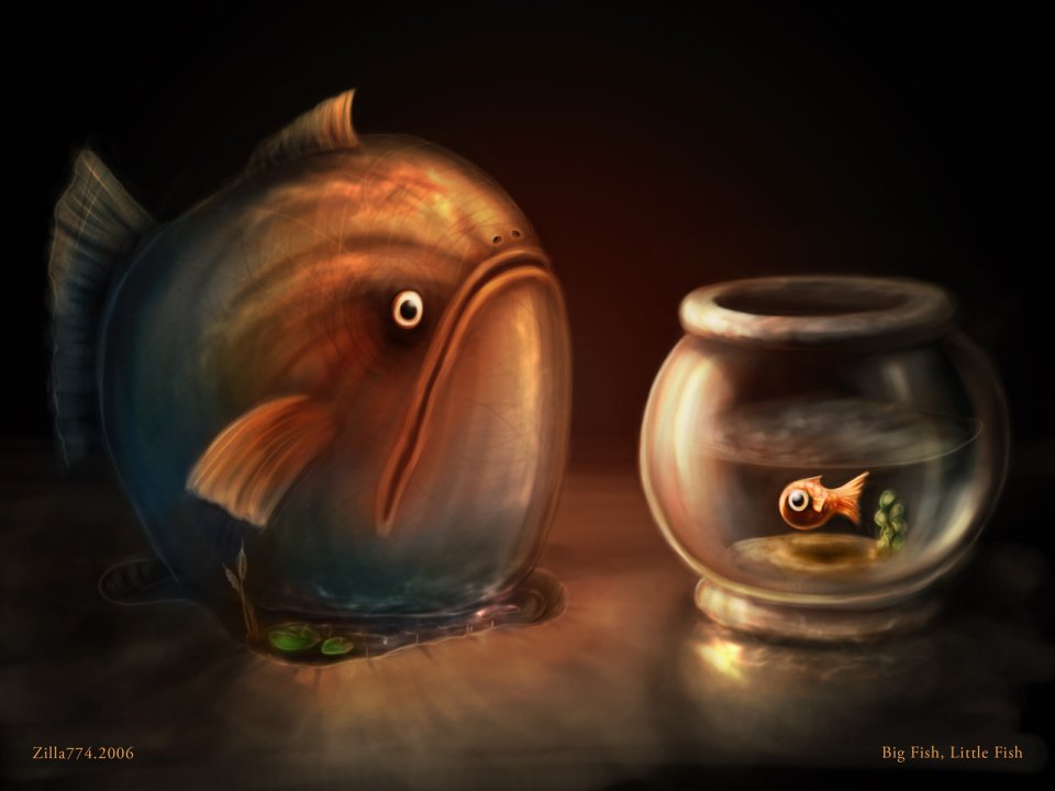 computer_design_Big_Fish_Little_Fish