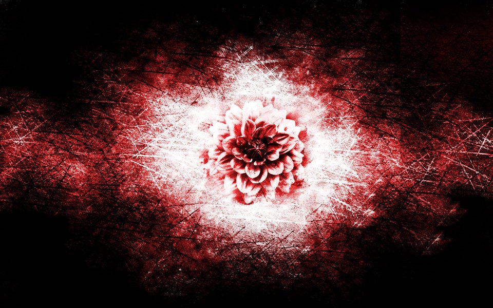 Concept_design_cool20081110_017