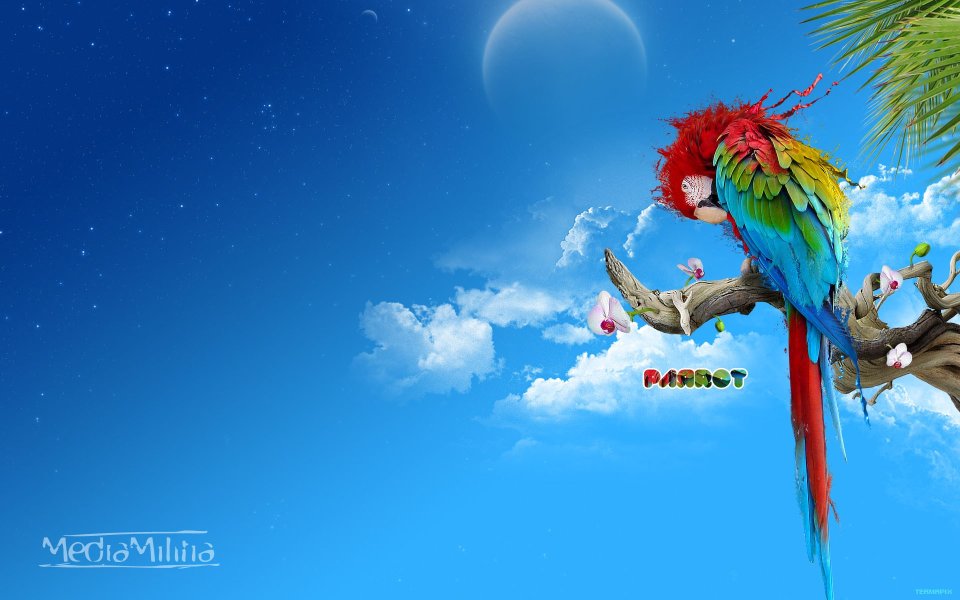 Creative_CG_Design_wallpaper_2
