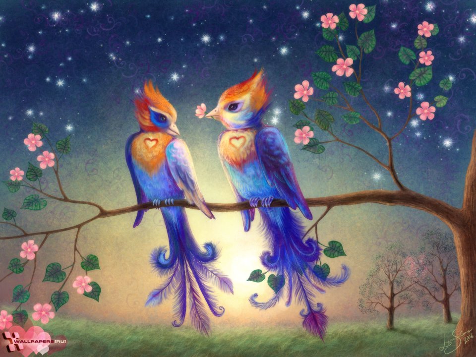 creative_character_luana_wallpapers_ru_liolio_birds