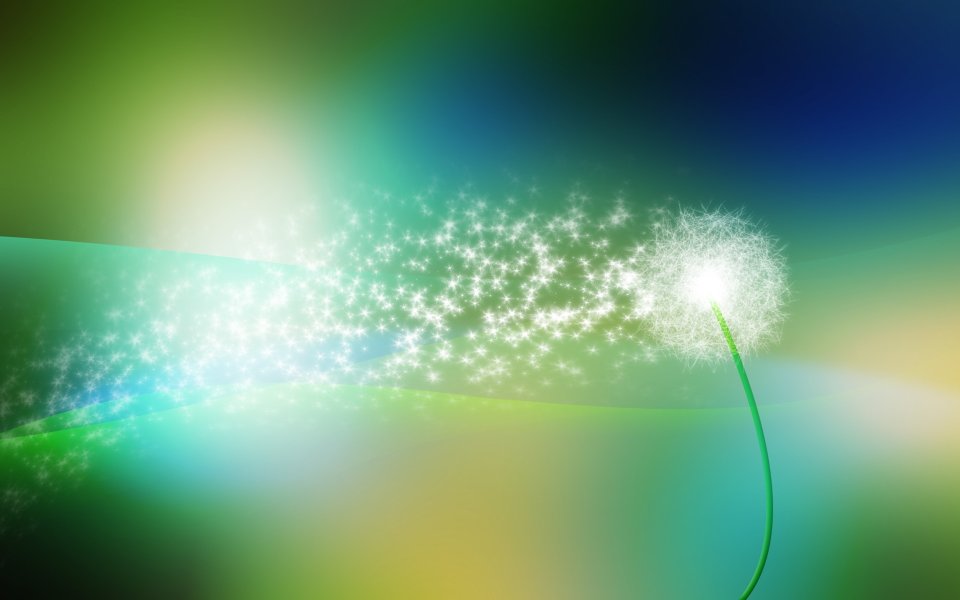 Dandelion_light_013