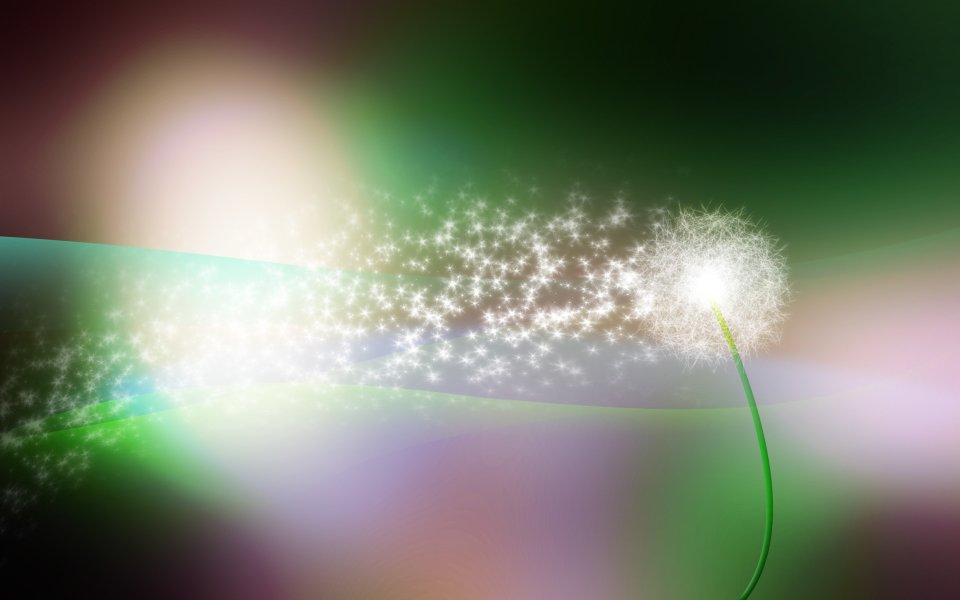 Dandelion_light_015