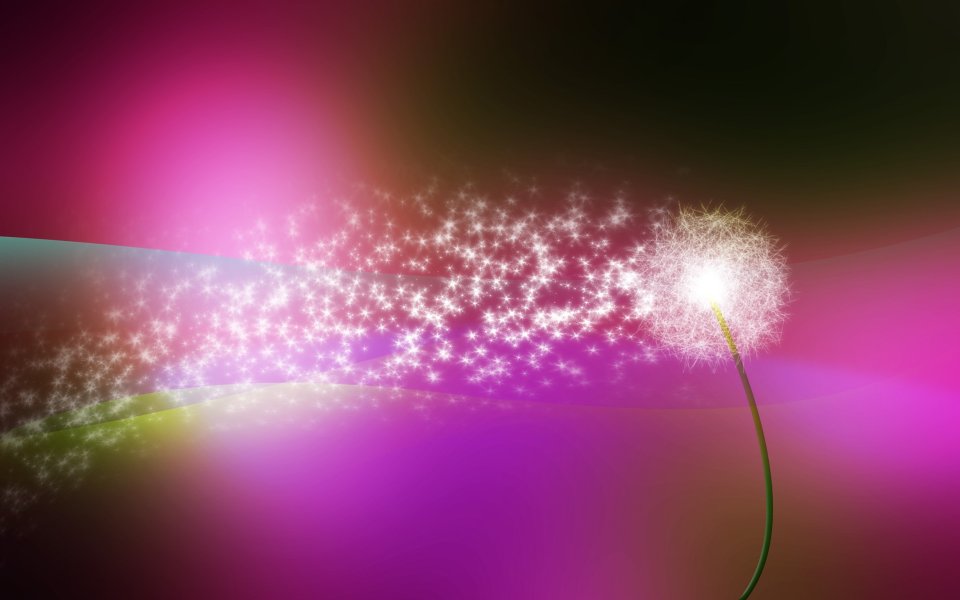 Dandelion_light_017