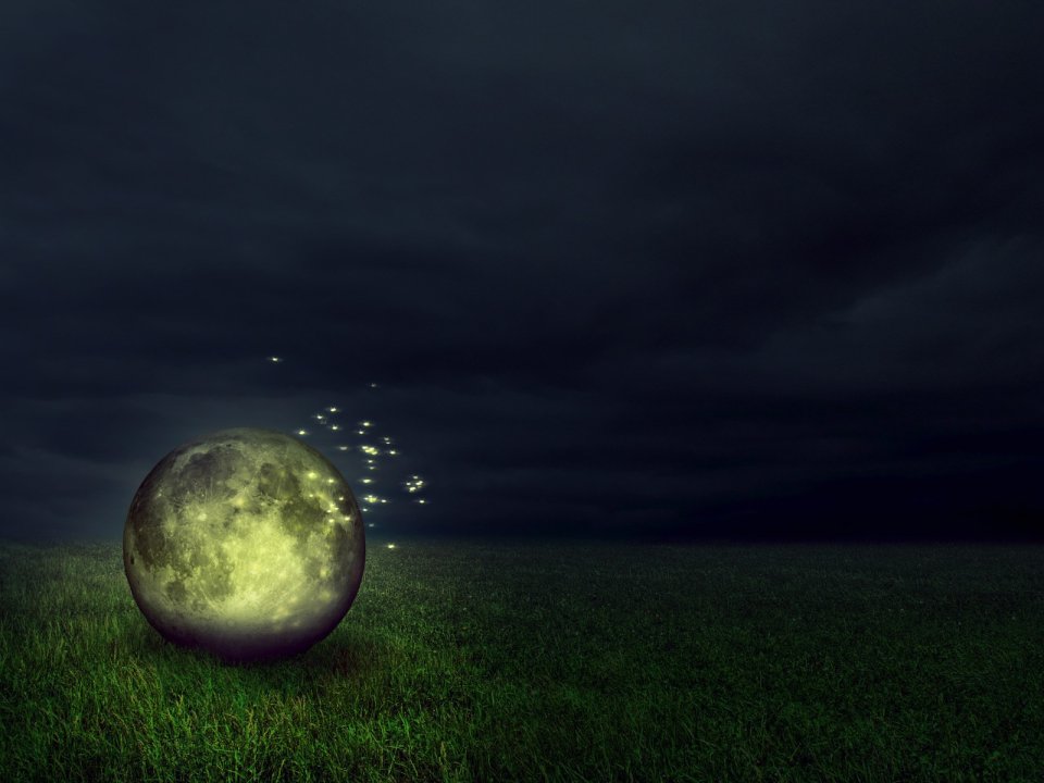 design_art_fireflies